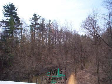 0 South Bartlett Road St. Clair, MI 48079 - Photo 12 of 12 877156-11.JPG