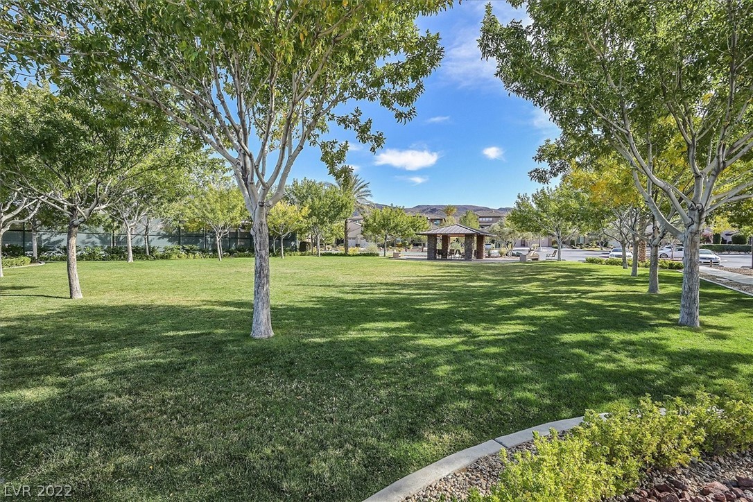 2765 Liberation Drive Henderson, NV 89044 - Photo 41 of 42