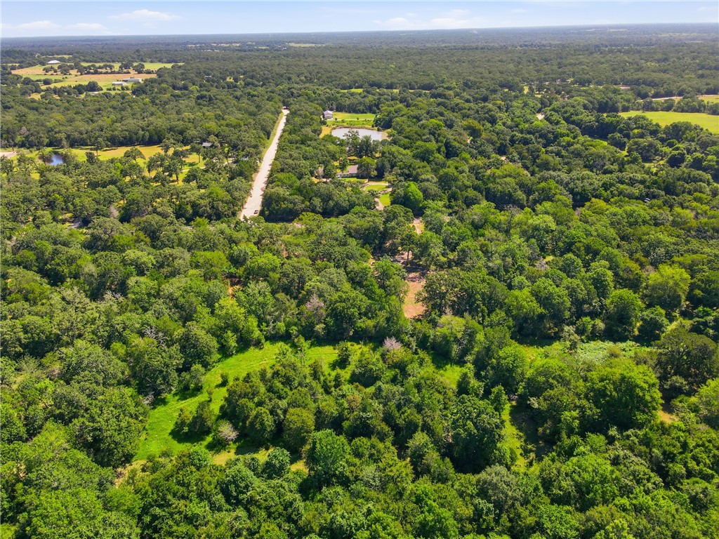 Tbd Grassbur Road Bryan, TX 77808 - Photo 17 of 18