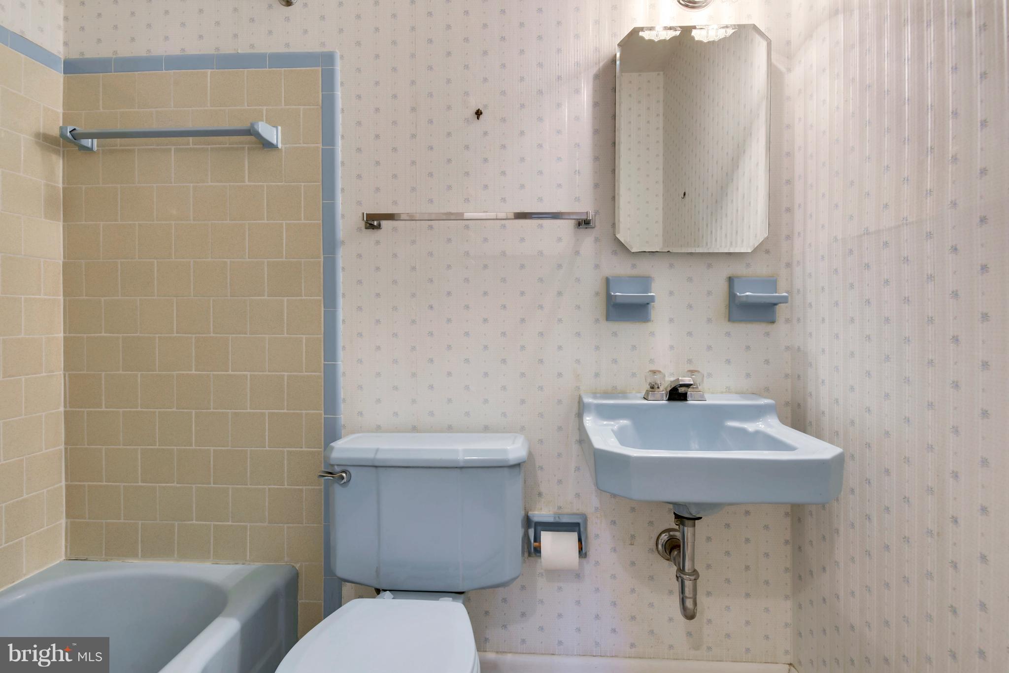 6005 Windham Road Laurel, MD 20707 - Photo 17 of 20 Hall Bath