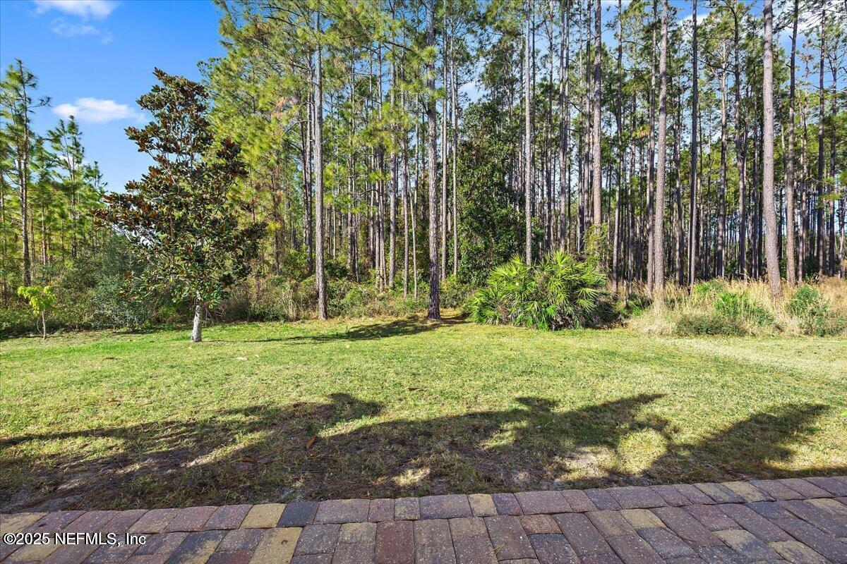 102 Anguilla Boulevard St. Augustine, FL 32092 - Photo 20 of 24 a view of a backyard with large trees