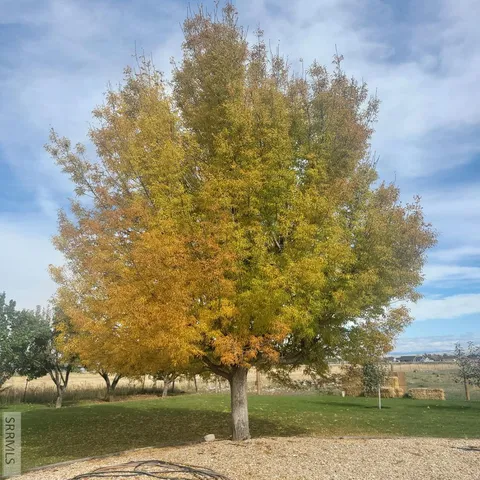 $895,000 | 4106 East 67 North, Rigby, ID 83442