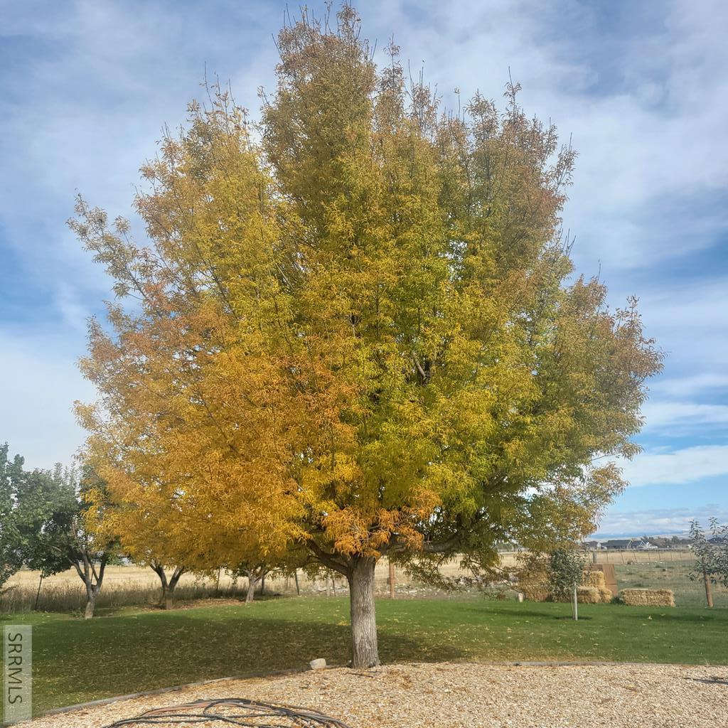 4106 East 67 North Rigby, ID 83442 - Photo 79 of 92