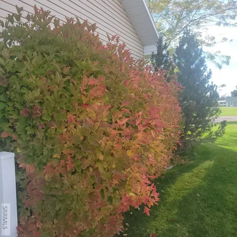 $895,000 | 4106 East 67 North, Rigby, ID 83442