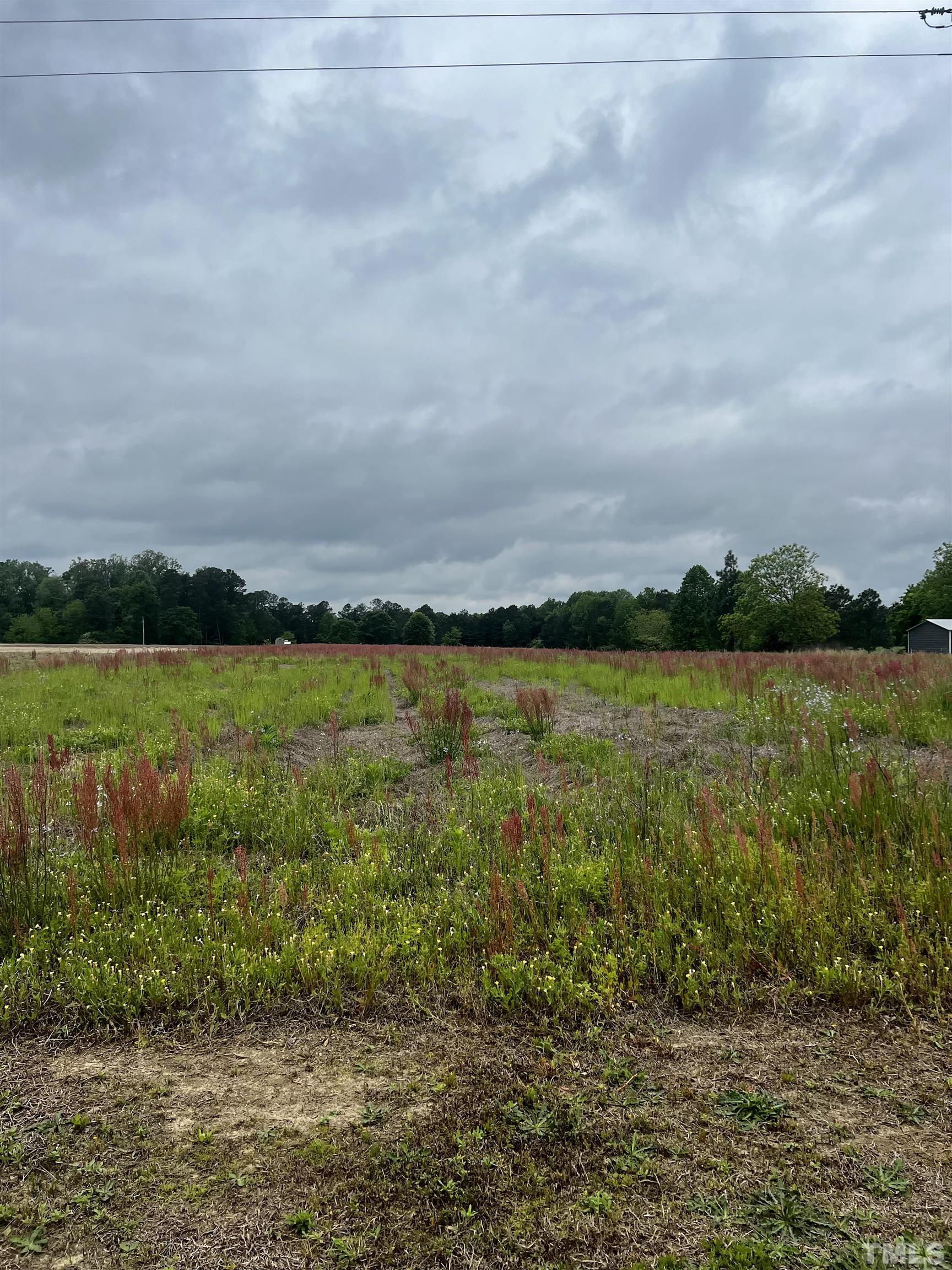 0 Joe Collins Road Lillington, NC 27546 - Photo 2 of 5 Gallery Image 2