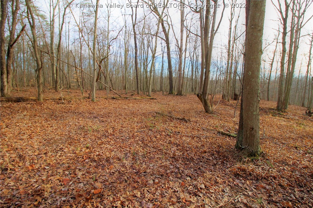 0 T Cupp Road Milton, WV 25541 - Photo 2 of 9 Gallery Image 2