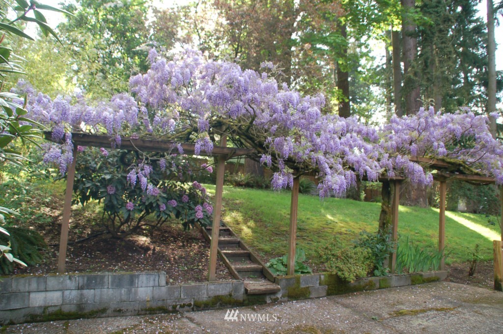 19028 104th Avenue Northeast Bothell, WA 98011 - Photo 18 of 21 Gallery Image 18