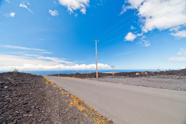 a view of a big room with a large tree