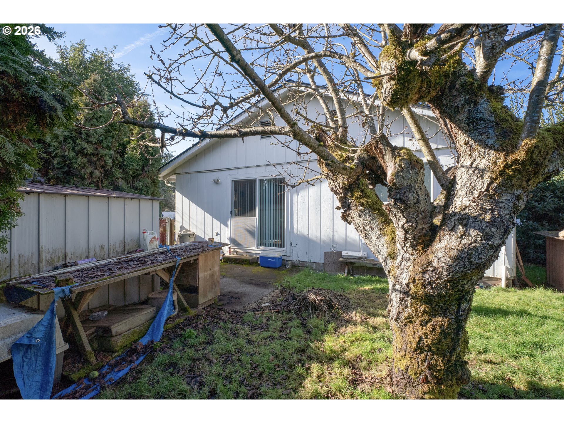 3307 Arrowhead Street Eugene, OR 97404 - Photo 39 of 46 a backyard of a house with wooden fence and large trees