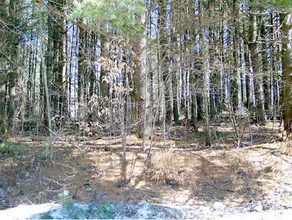 Lot#47 West Ridge Terrace Rutland, VT 05701 - Photo 1 of 1