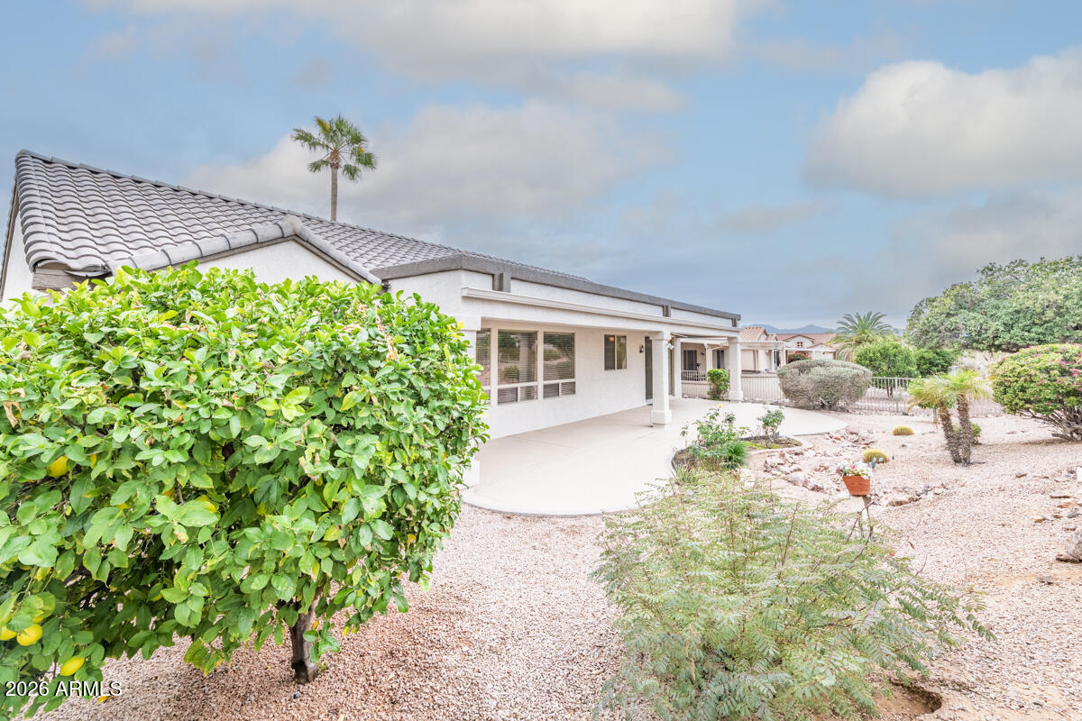 16024 West Rio Verde Court Surprise, AZ 85374 - Photo 24 of 30 Backyard