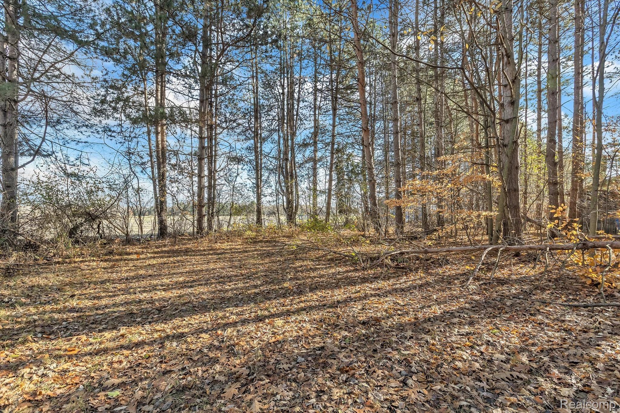11619 Rathbun Road Birch Run, MI 48415 - Photo 74 of 90 74-11619 Rathbun Rd-windowstill-realestate-photography-74.jpg