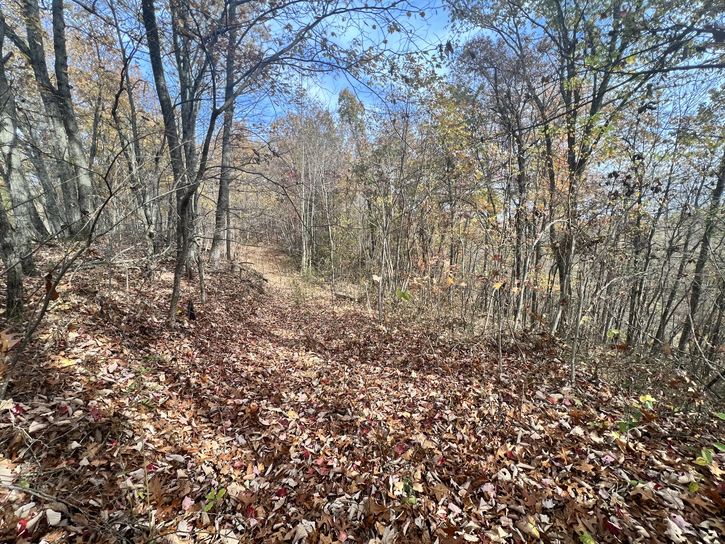 9999 Bar Creek Road Oneida, KY 40972 - Photo 15 of 15 80046EDC-6BFA-478E-8D43-A1E02F18AC83