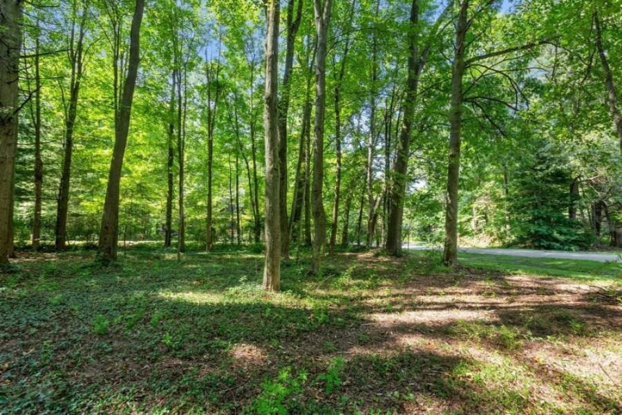 10256 Community Hall Road Union Pier, MI 49129 - Photo 1 of 13 Wooded Lot