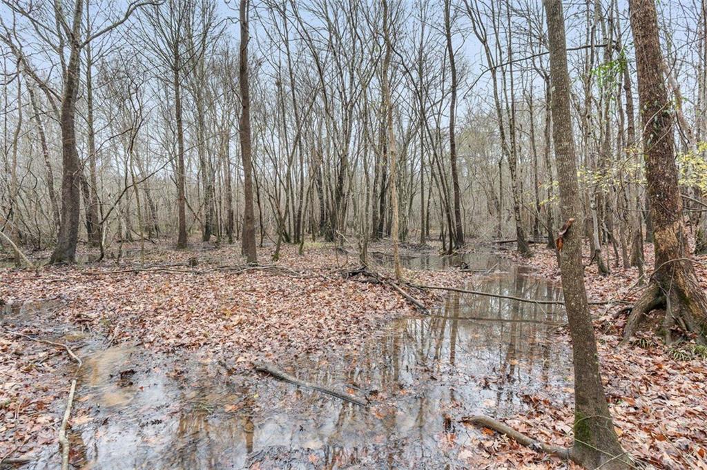 6 Creekside Bluff Hiram, GA 30141 - Photo 32 of 39