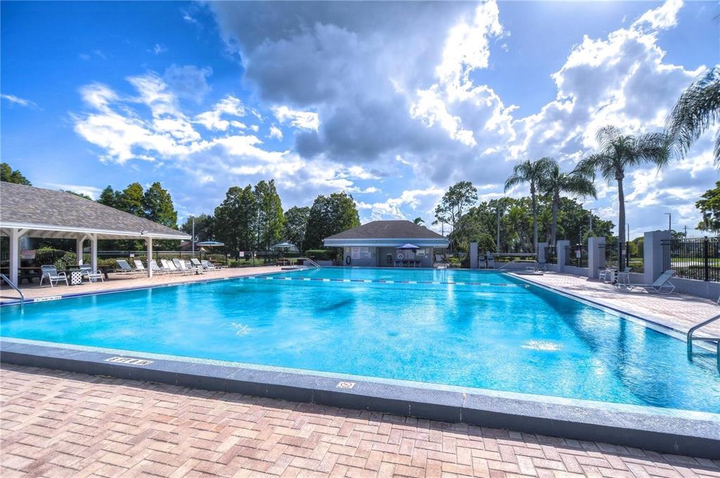 11826 Dumaine Valley Road Riverview, FL 33579 - Photo 48 of 54 a view of a swimming pool with an outdoor seating