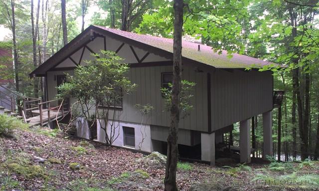 218 Lakeledge Road Beech Mountain, NC 28604 - Photo 4 of 12 Gallery Image 4