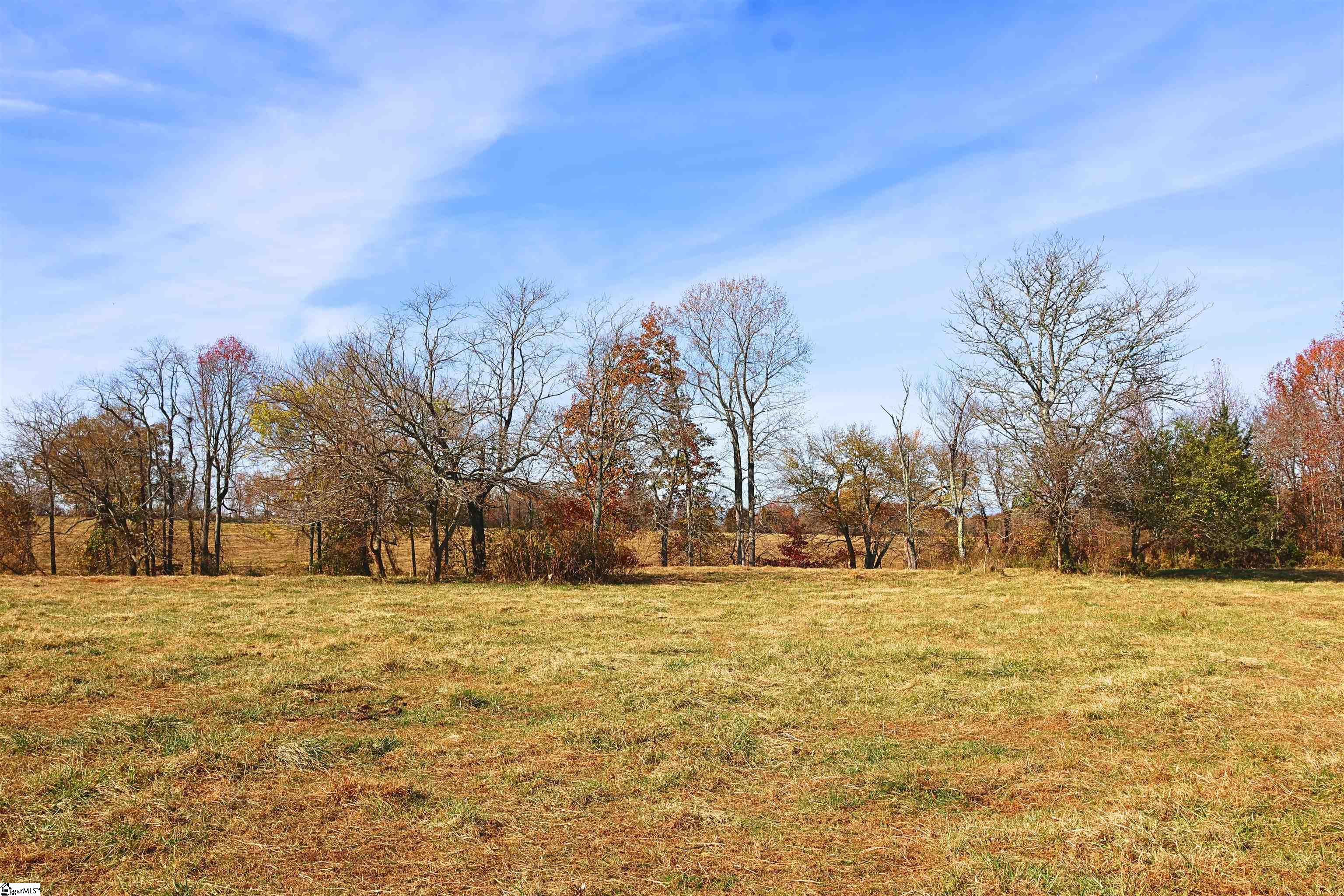 0 Carolina Ridge Road, Unit LOT 10 Gaffney, SC 29341 - Photo 3 of 19
