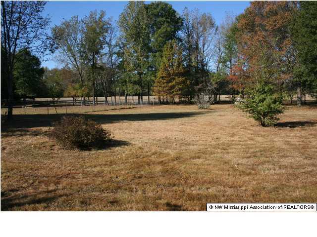373 West Sweetwater Road Byhalia, MS 38611 - Photo 6 of 10 Additional Photo