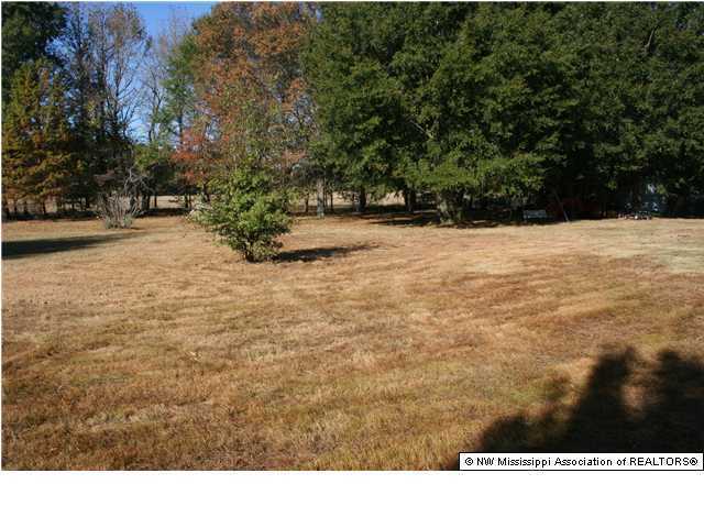 373 West Sweetwater Road Byhalia, MS 38611 - Photo 9 of 10 Additional Photo