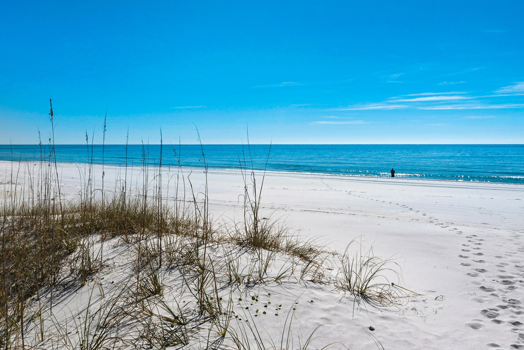 4984 West County Highway 30A, Unit 5B Santa Rosa Beach, FL 32459 - Photo 34 of 46 a view of a backyard