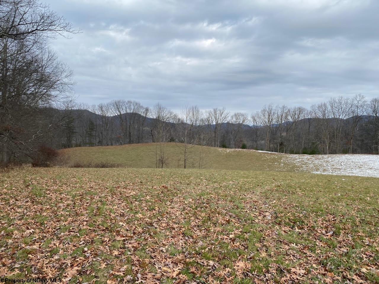 3000 Holly Meadows Road Parsons, WV 26287 - Photo 38 of 50 Gallery Image 38