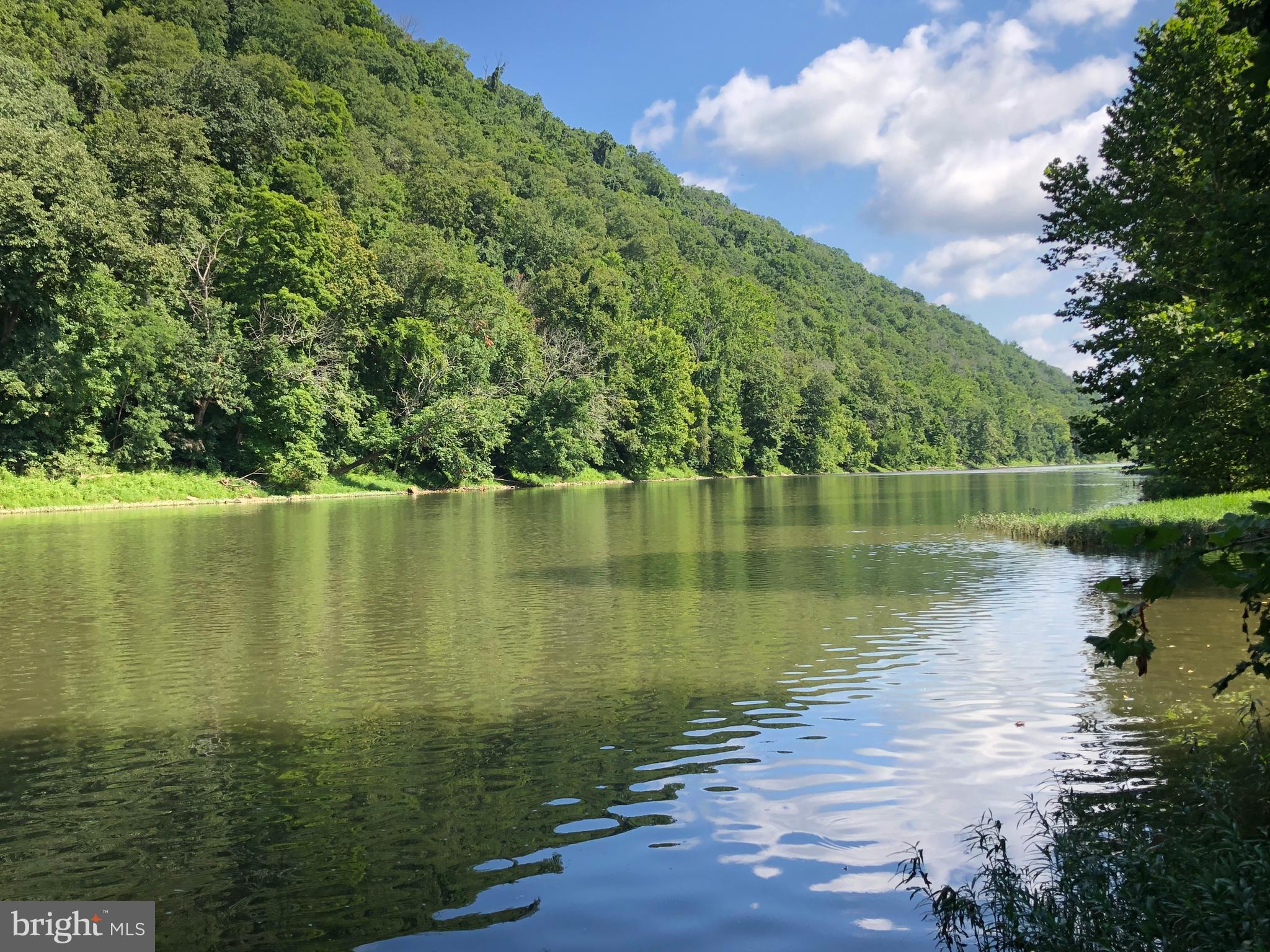 5982 South Branch Mountain Road Moorefield, WV 26836 - Photo 84 of 141
