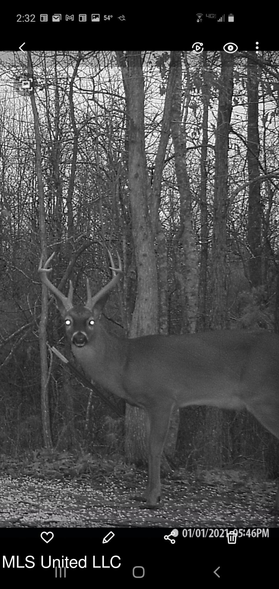 2628 Hamilton Road Falkner, MS 38629 - Photo 13 of 66 IMG_1048