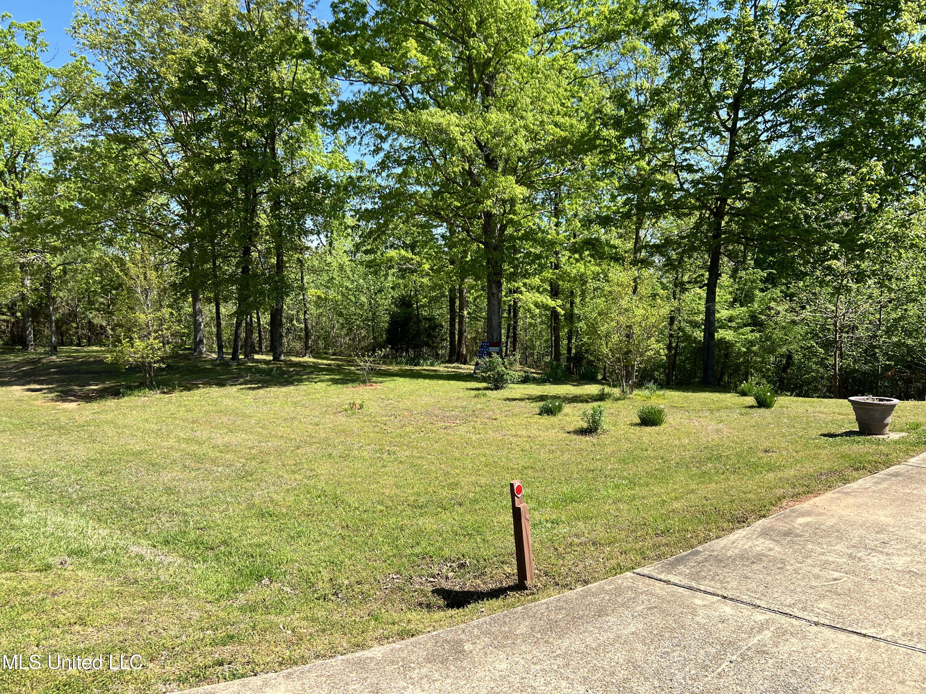 2628 Hamilton Road Falkner, MS 38629 - Photo 15 of 66 IMG_0997