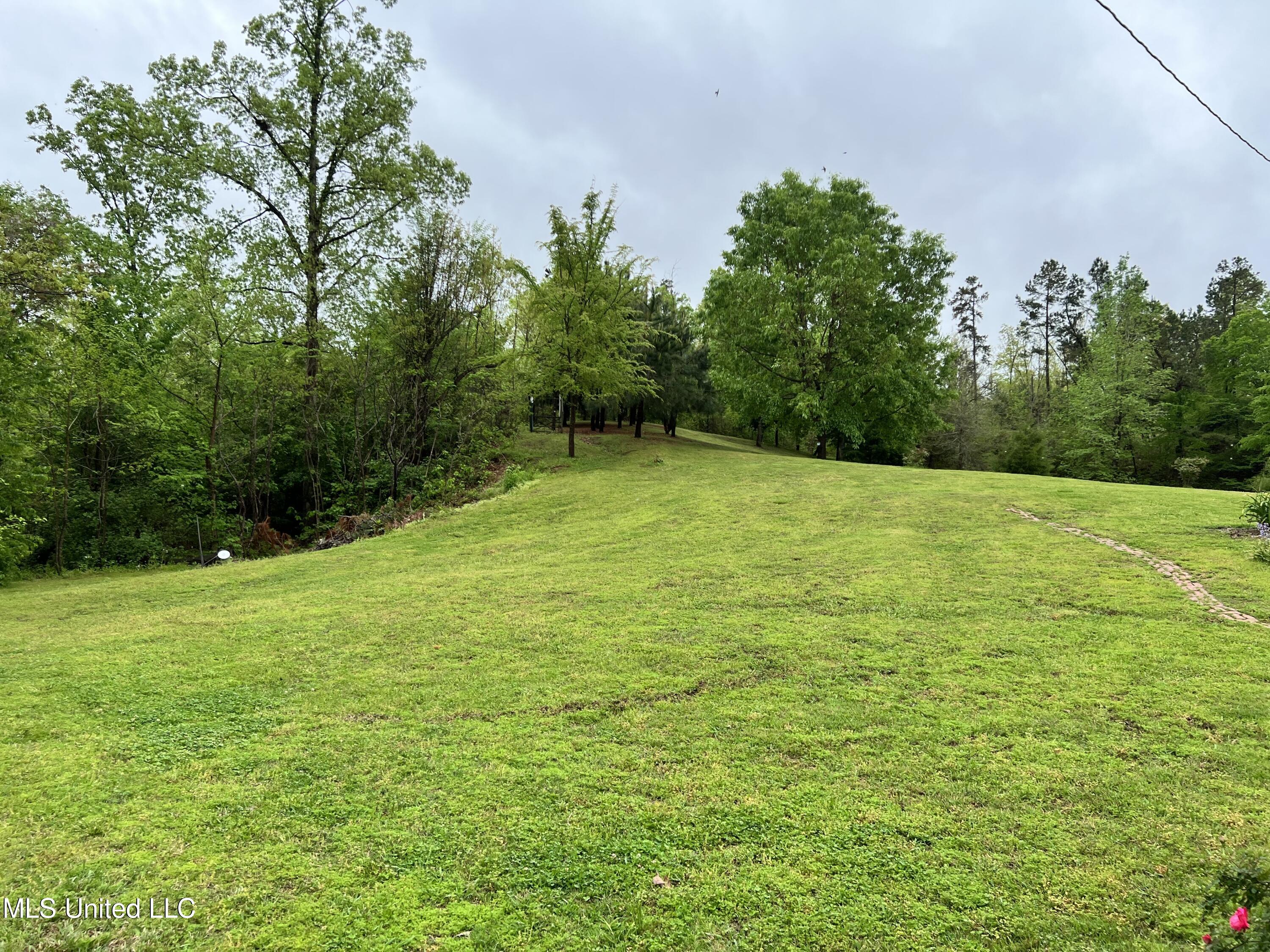 2628 Hamilton Road Falkner, MS 38629 - Photo 22 of 66 IMG_0940