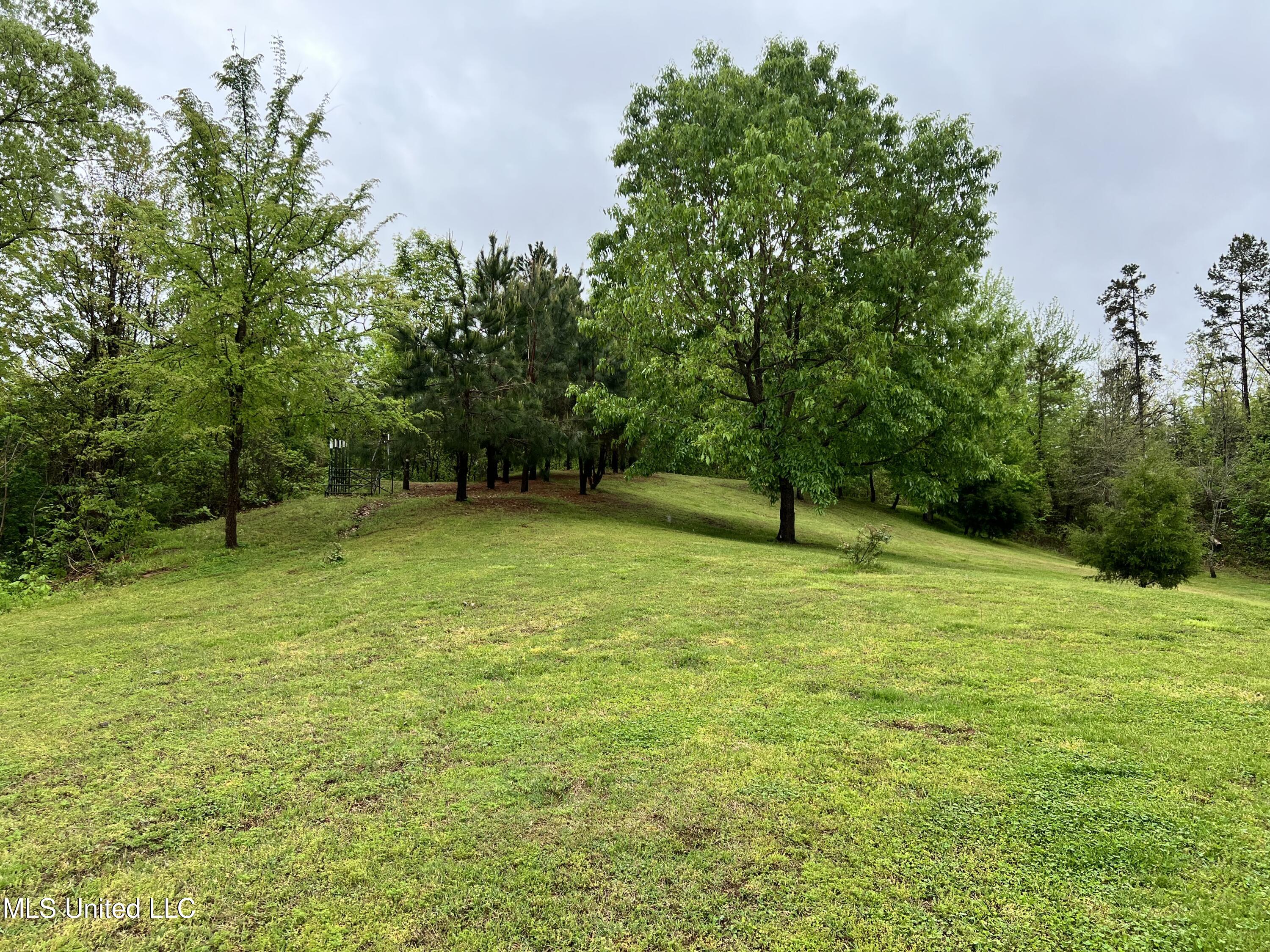 2628 Hamilton Road Falkner, MS 38629 - Photo 23 of 66 IMG_0942