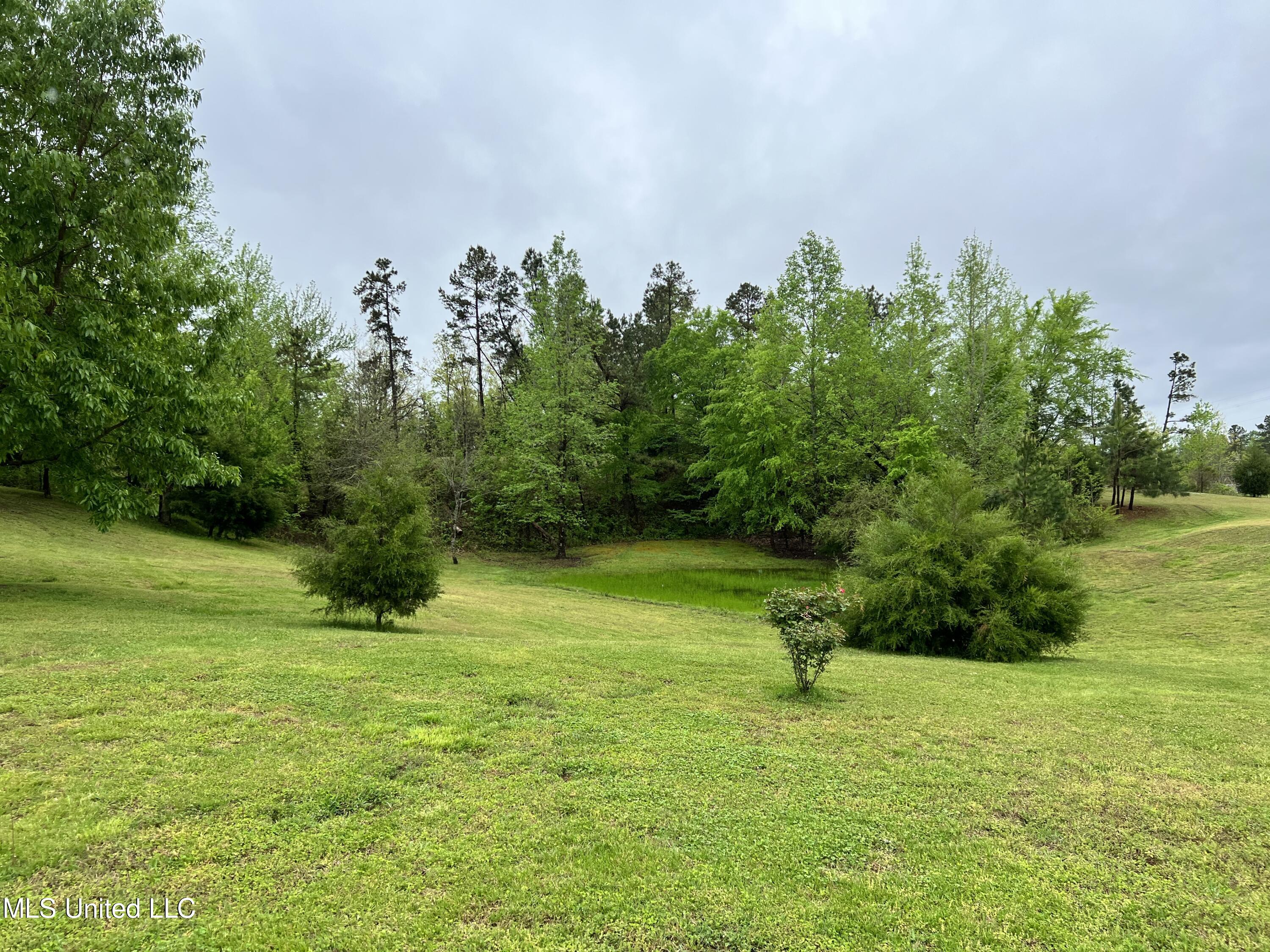 2628 Hamilton Road Falkner, MS 38629 - Photo 25 of 66 IMG_0943