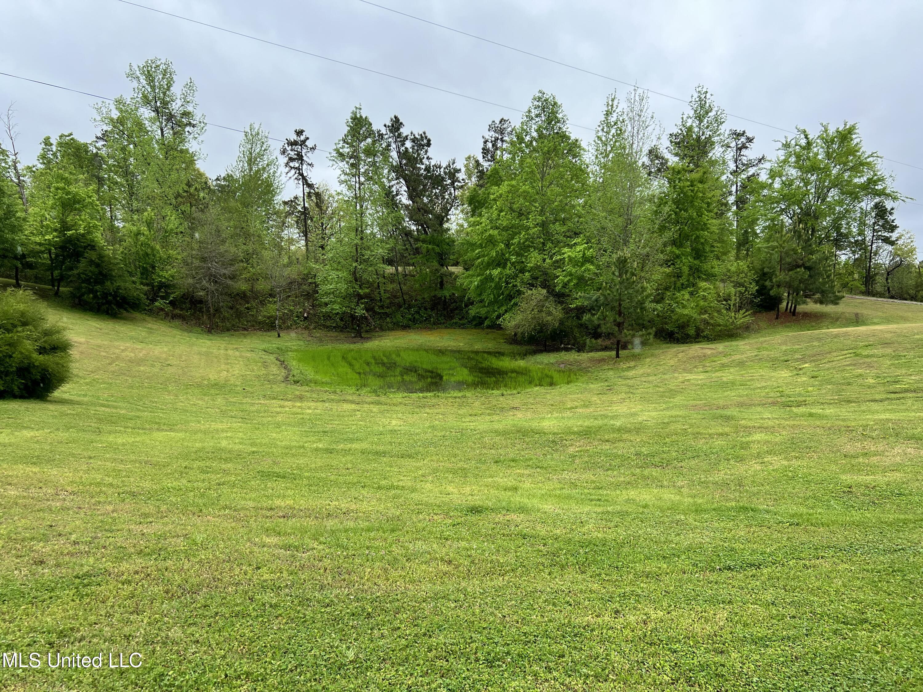 2628 Hamilton Road Falkner, MS 38629 - Photo 26 of 66 IMG_0944 - Copy