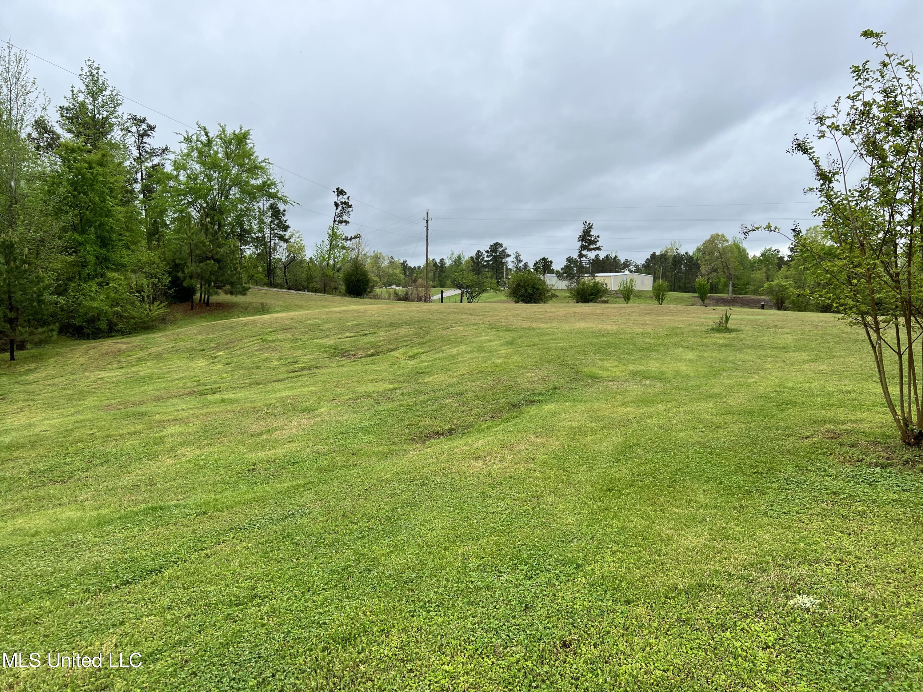 2628 Hamilton Road Falkner, MS 38629 - Photo 27 of 66 IMG_0945