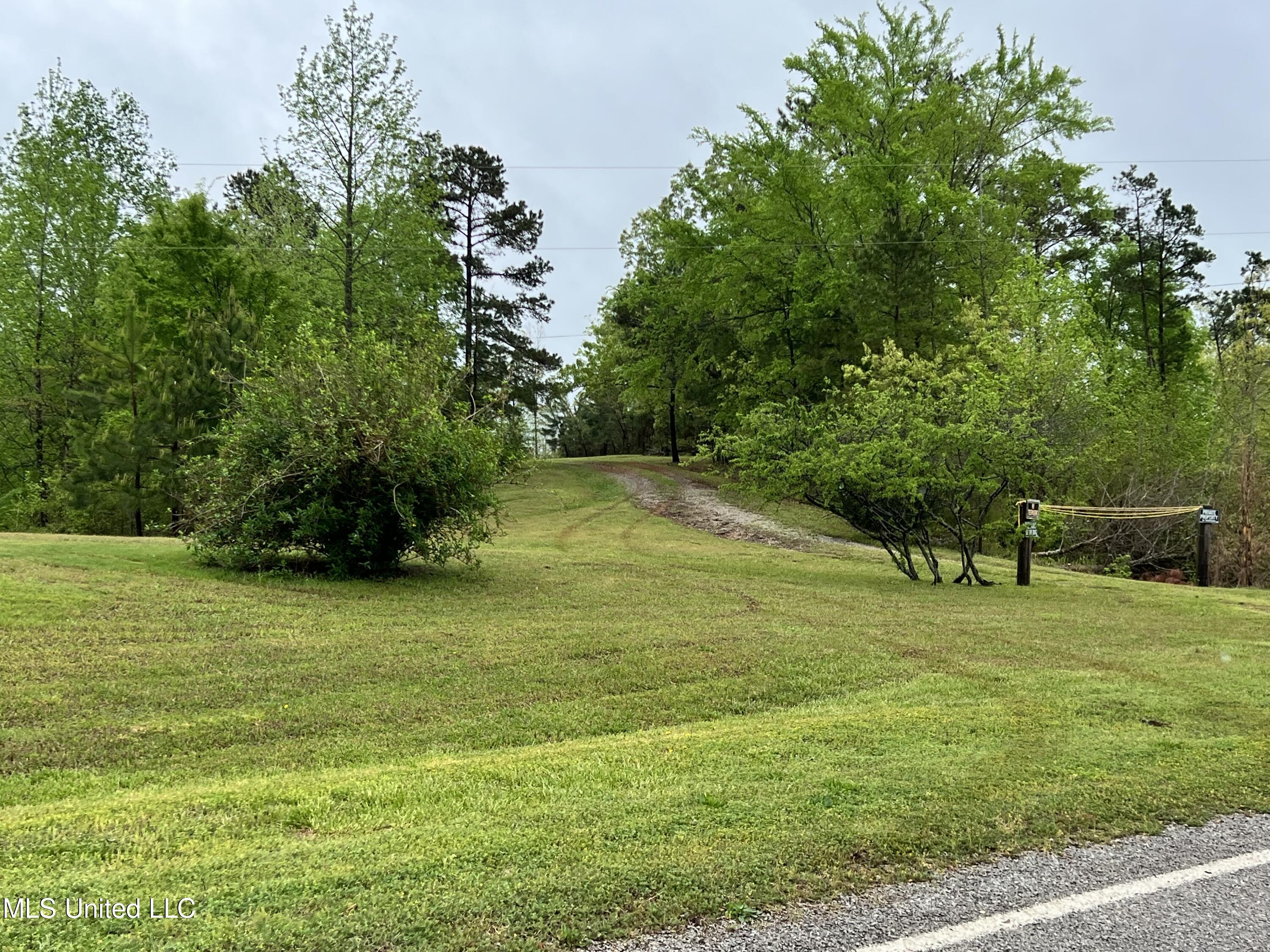 2628 Hamilton Road Falkner, MS 38629 - Photo 28 of 66 IMG_0949