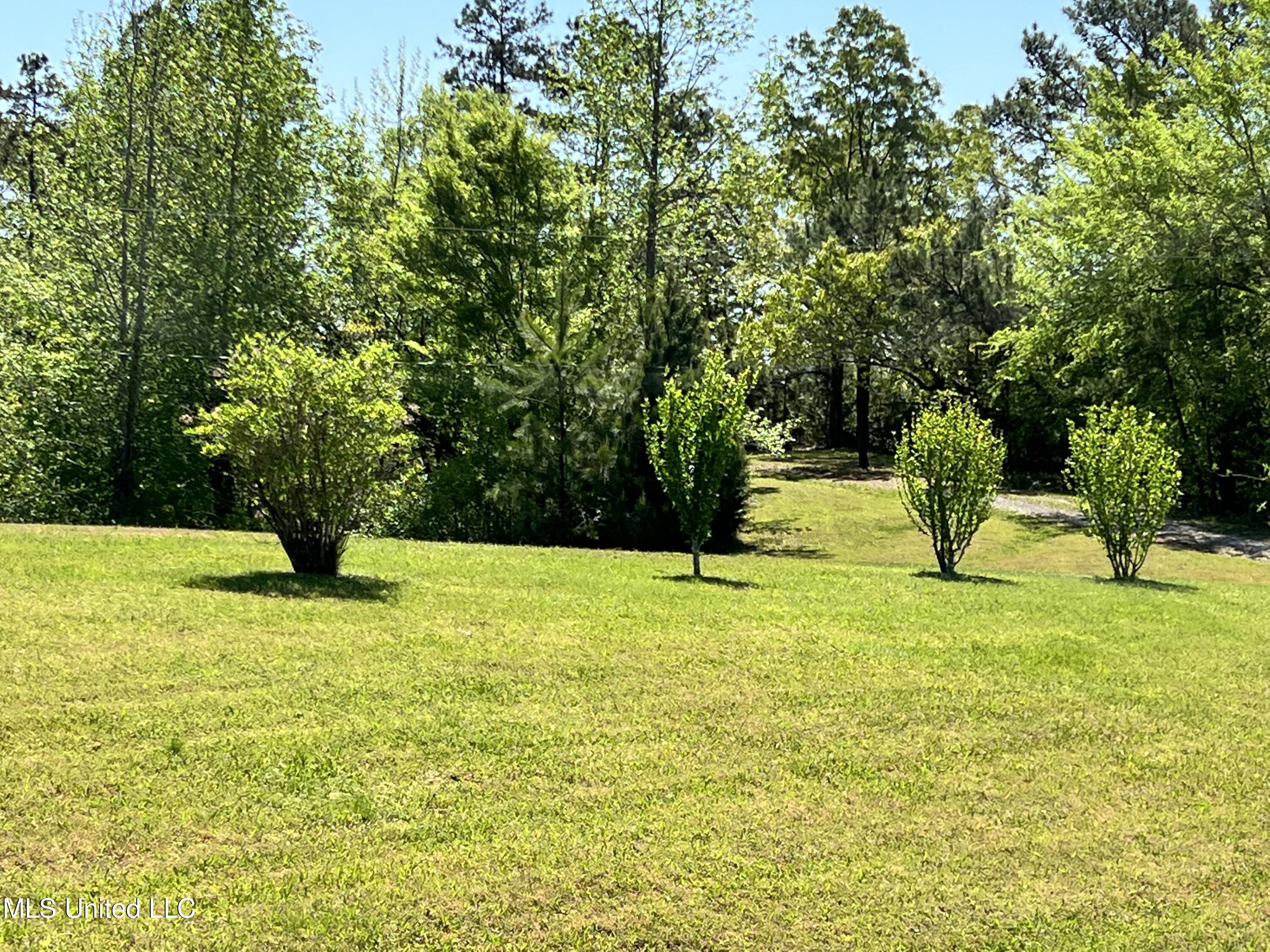 2628 Hamilton Road Falkner, MS 38629 - Photo 57 of 66 IMG_1004