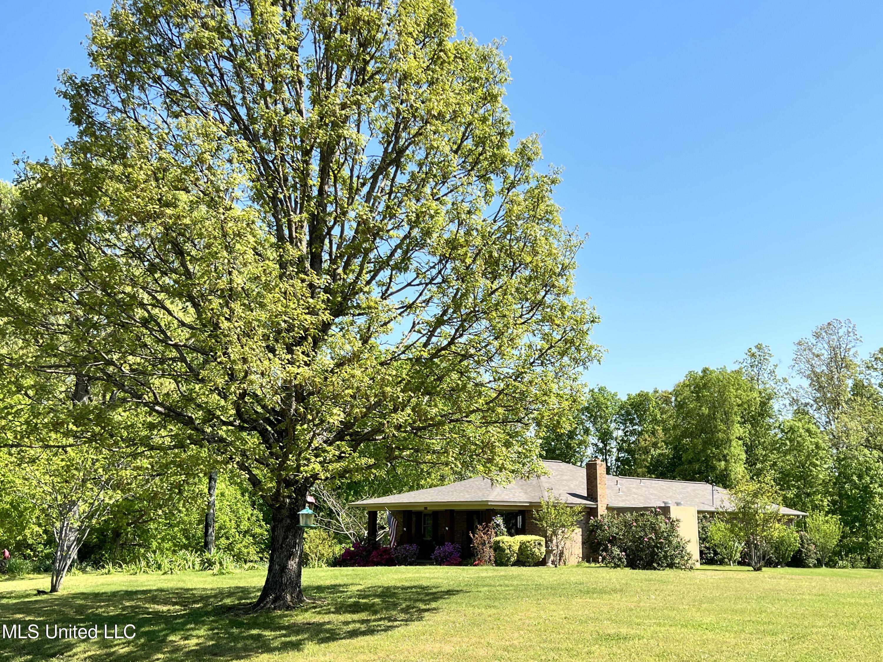 2628 Hamilton Road Falkner, MS 38629 - Photo 58 of 66 IMG_1005