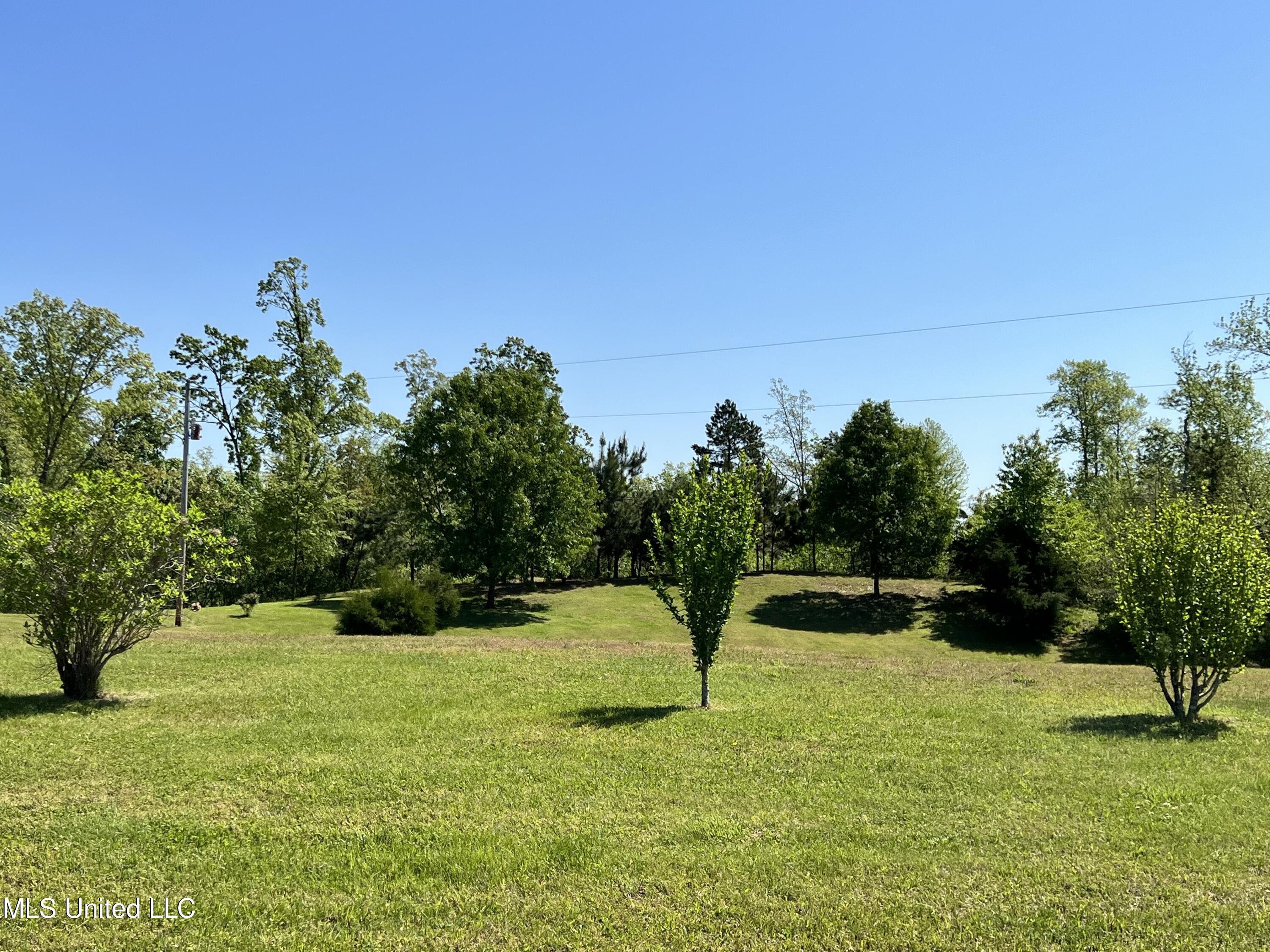 2628 Hamilton Road Falkner, MS 38629 - Photo 59 of 66 IMG_1006
