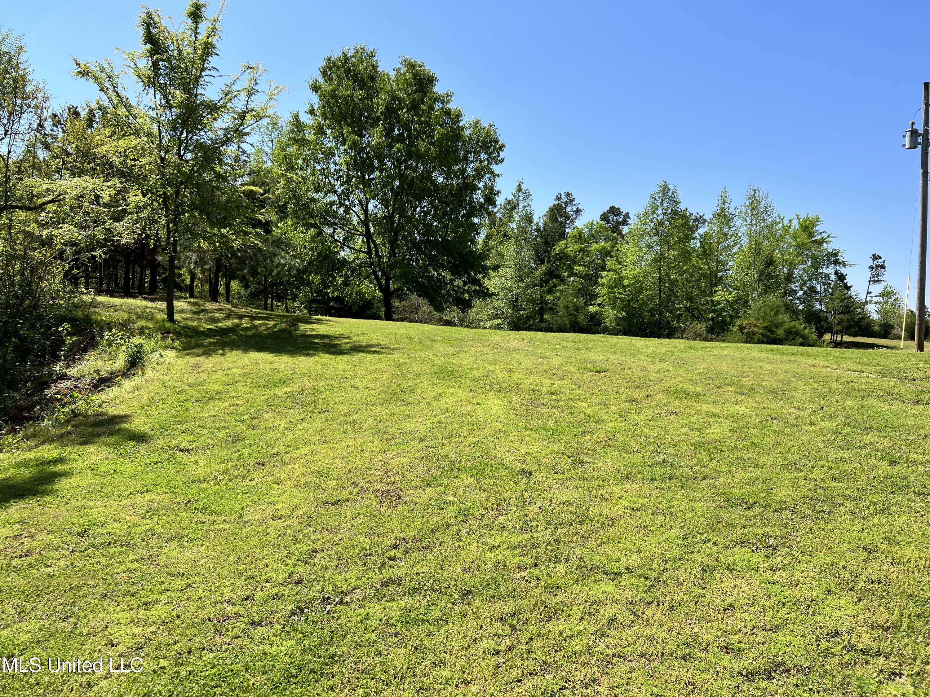 2628 Hamilton Road Falkner, MS 38629 - Photo 60 of 66 IMG_1011