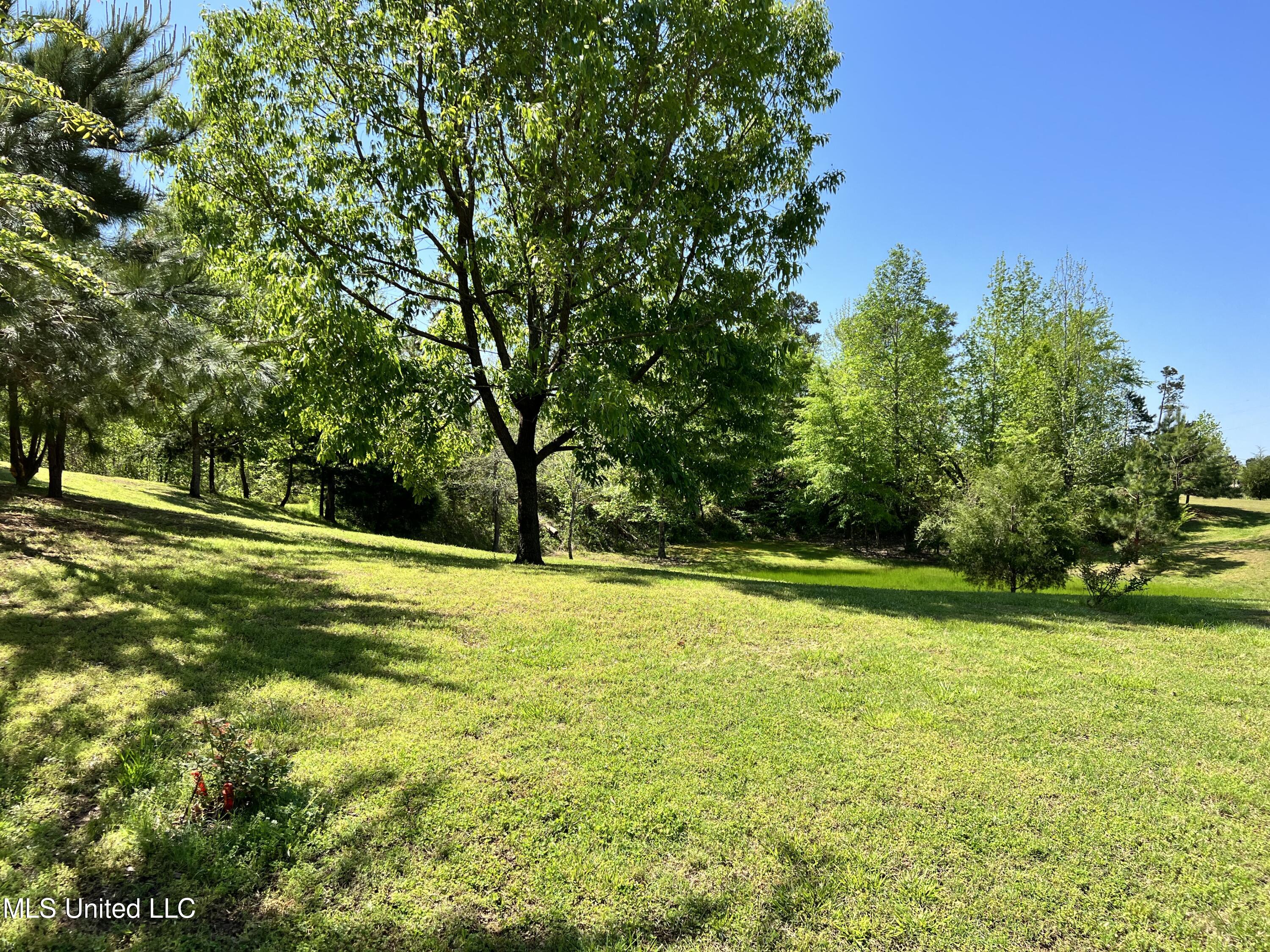 2628 Hamilton Road Falkner, MS 38629 - Photo 62 of 66 IMG_1014