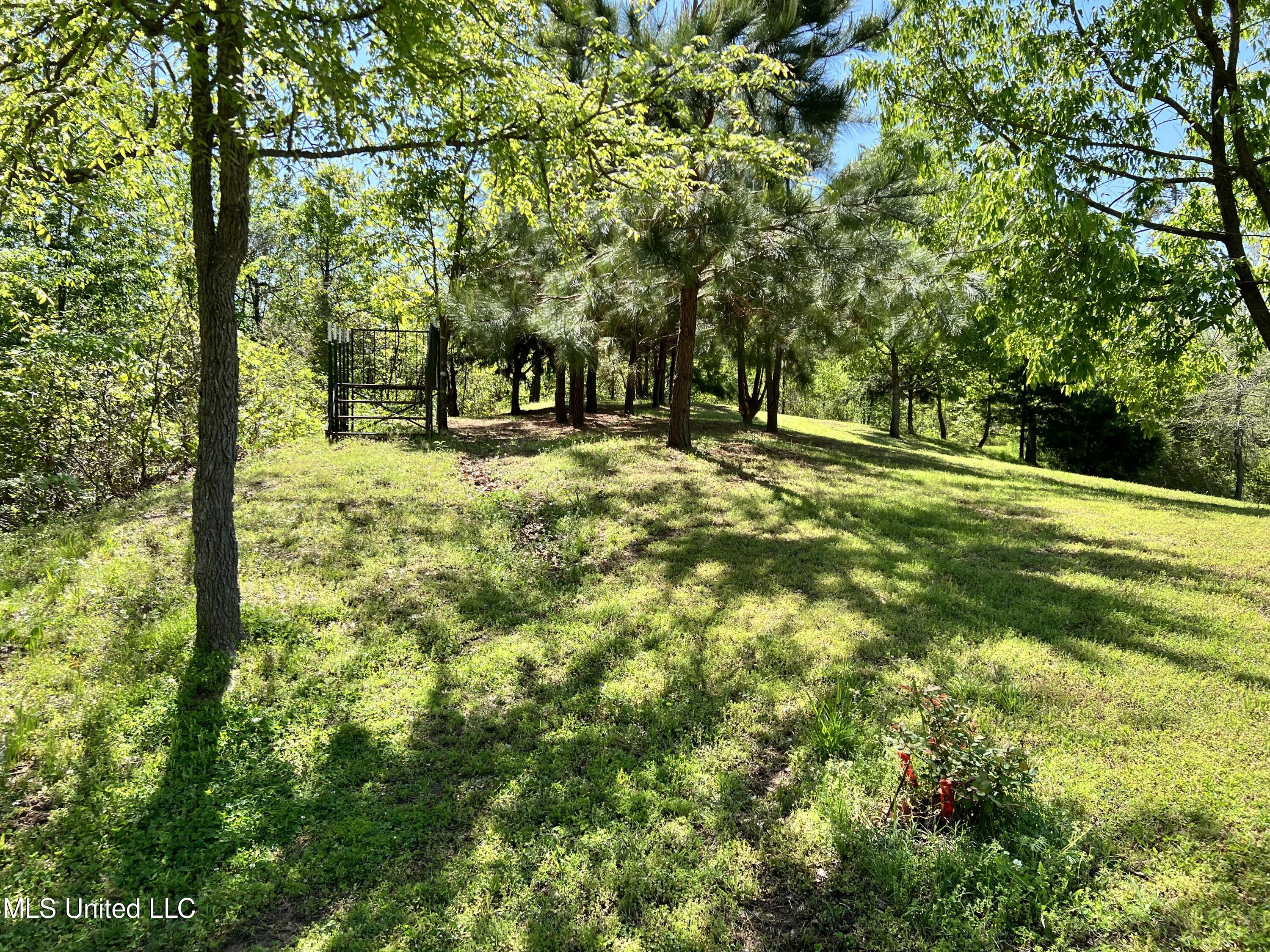 2628 Hamilton Road Falkner, MS 38629 - Photo 63 of 66 IMG_1015