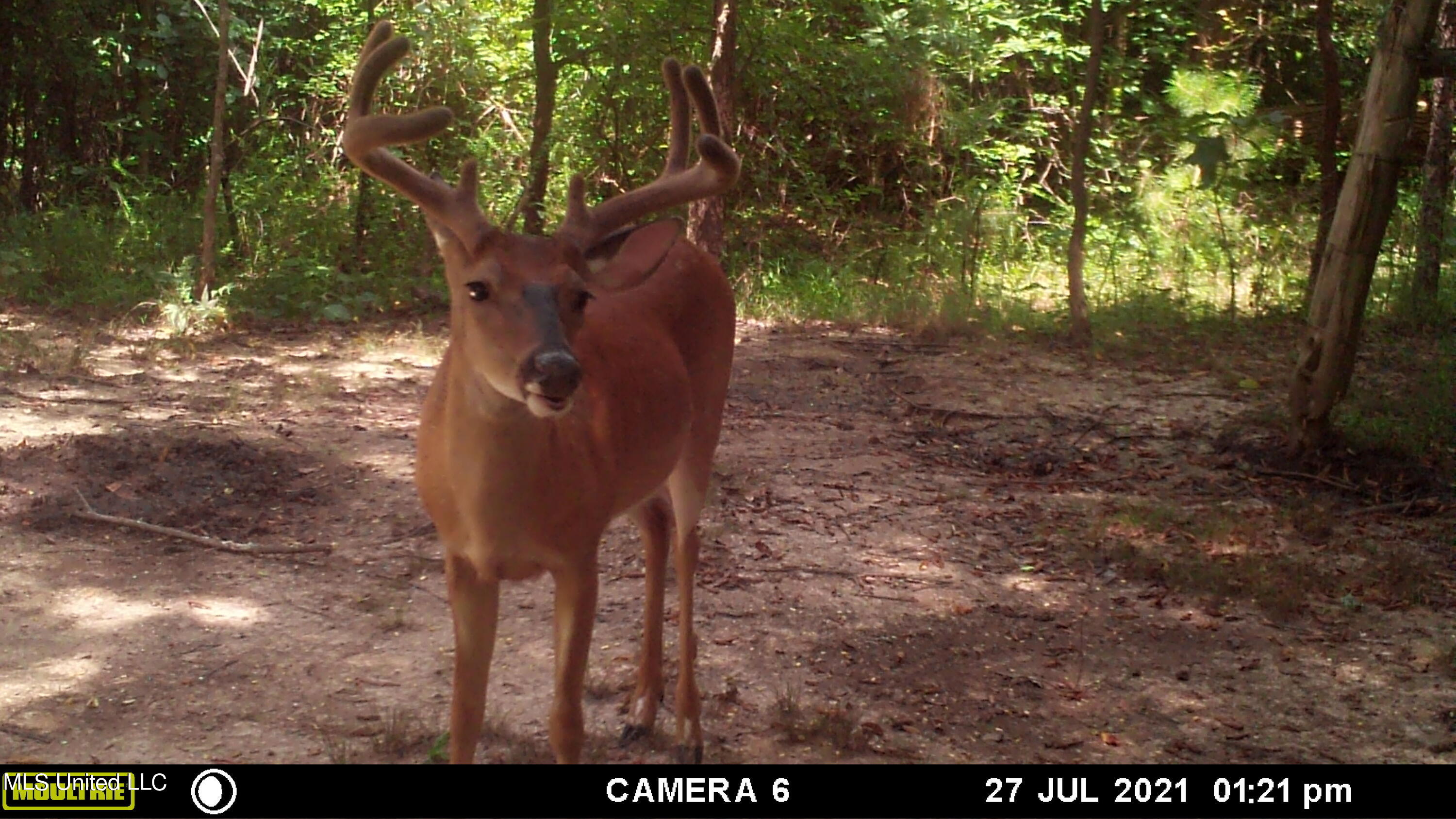 2628 Hamilton Road Falkner, MS 38629 - Photo 66 of 66 IMG_1052