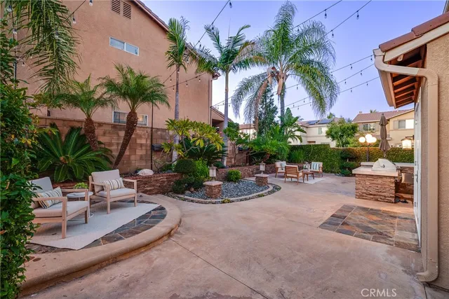 a view of a backyard with plants and palm tree