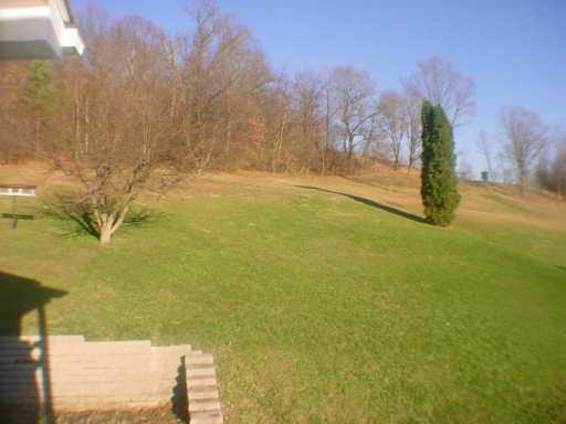 132 Church Street Ruffs Dale, PA 15679 - Photo 6 of 6 Yard/Garden.
