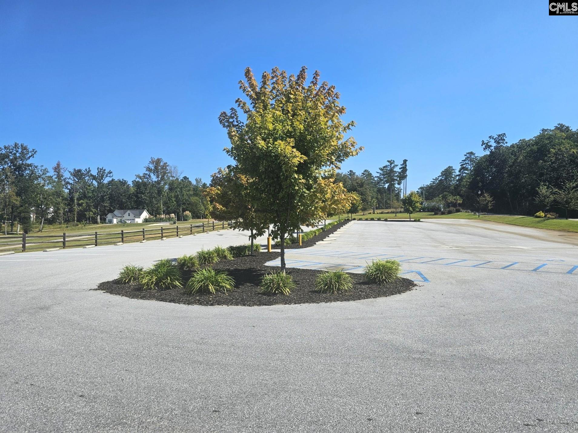 Lot # Longview Drive Prosperity, SC 29127 - Photo 11 of 11