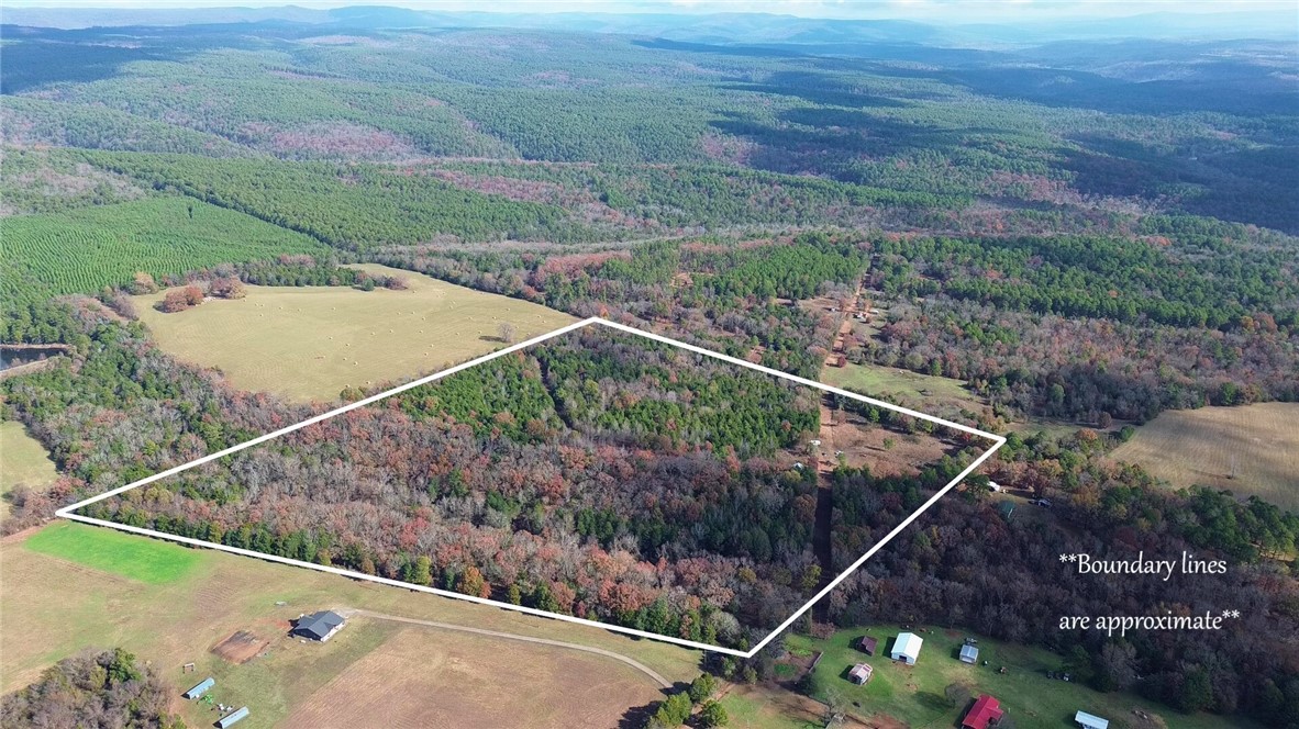 9943 Rough Branch Road Mulberry, AR 72947 - Photo 11 of 39 Gallery Image 11