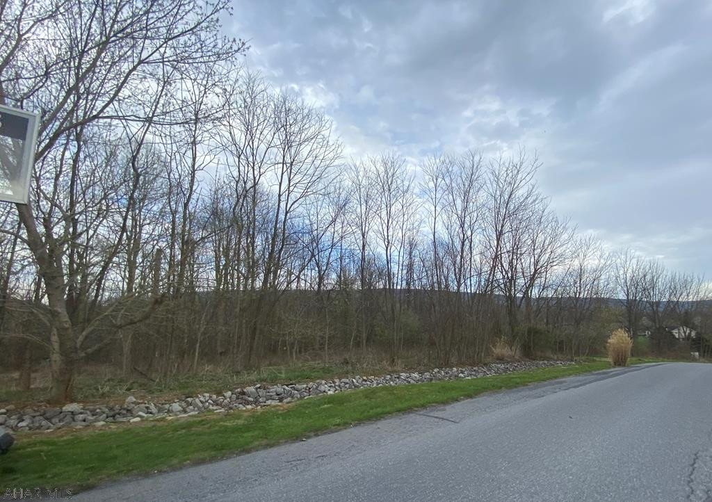 Lot 10 Mill Ridge Road Everett, PA 15537 - Photo 1 of 7 Gallery Image 1