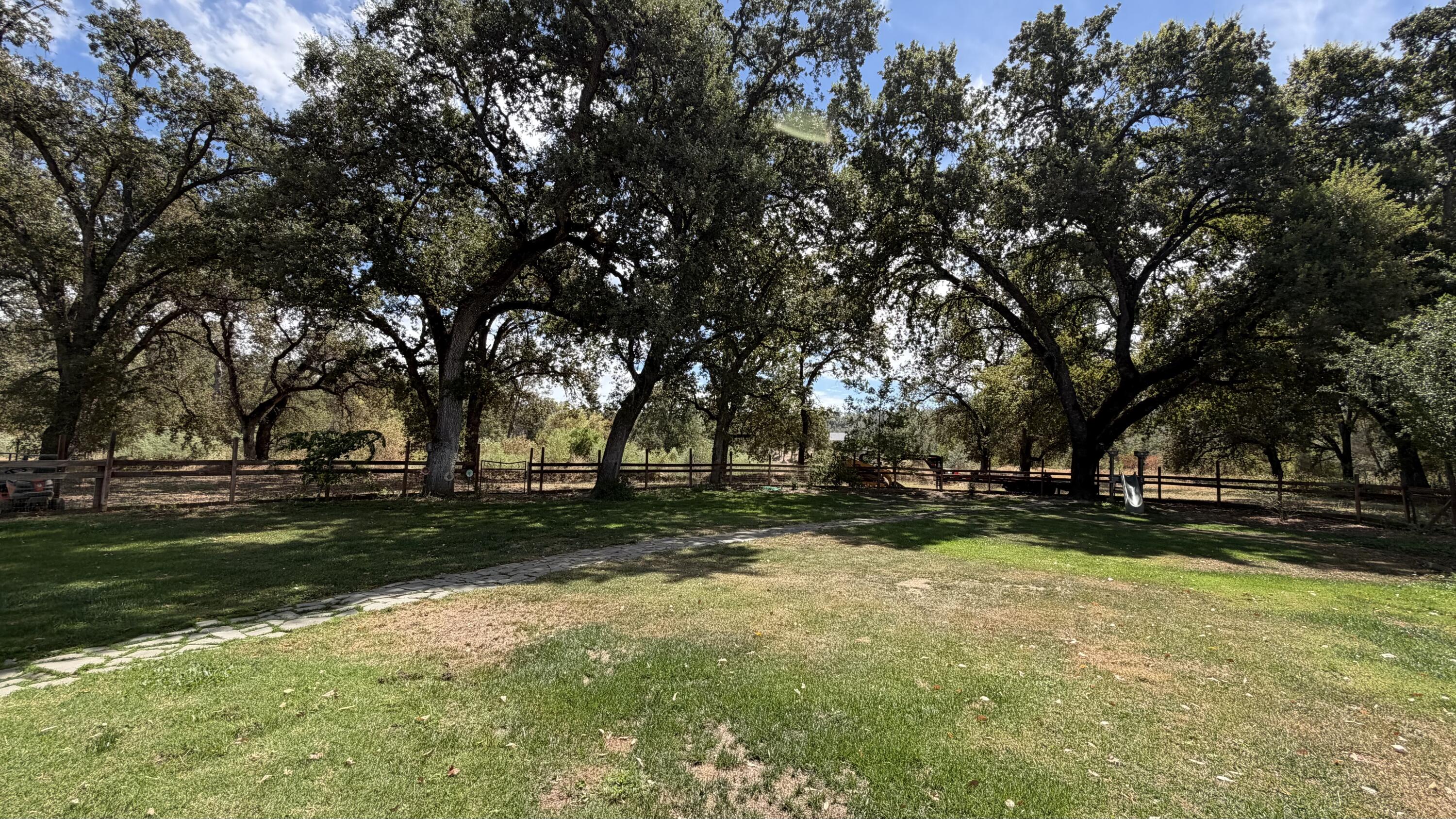 10971 Oak Run Road Oak Run, CA 96069 - Photo 21 of 63 Backyard
