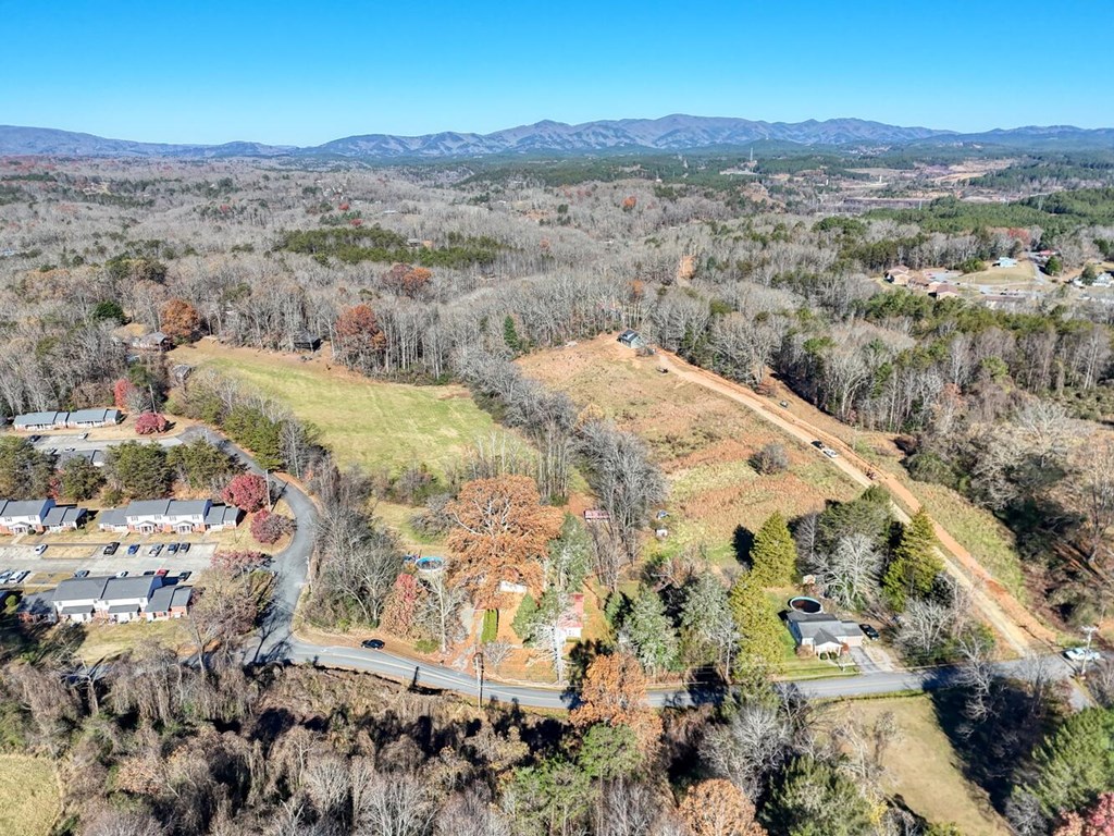 760 Kingtown Street Blue Ridge, GA 30513 - Photo 46 of 48