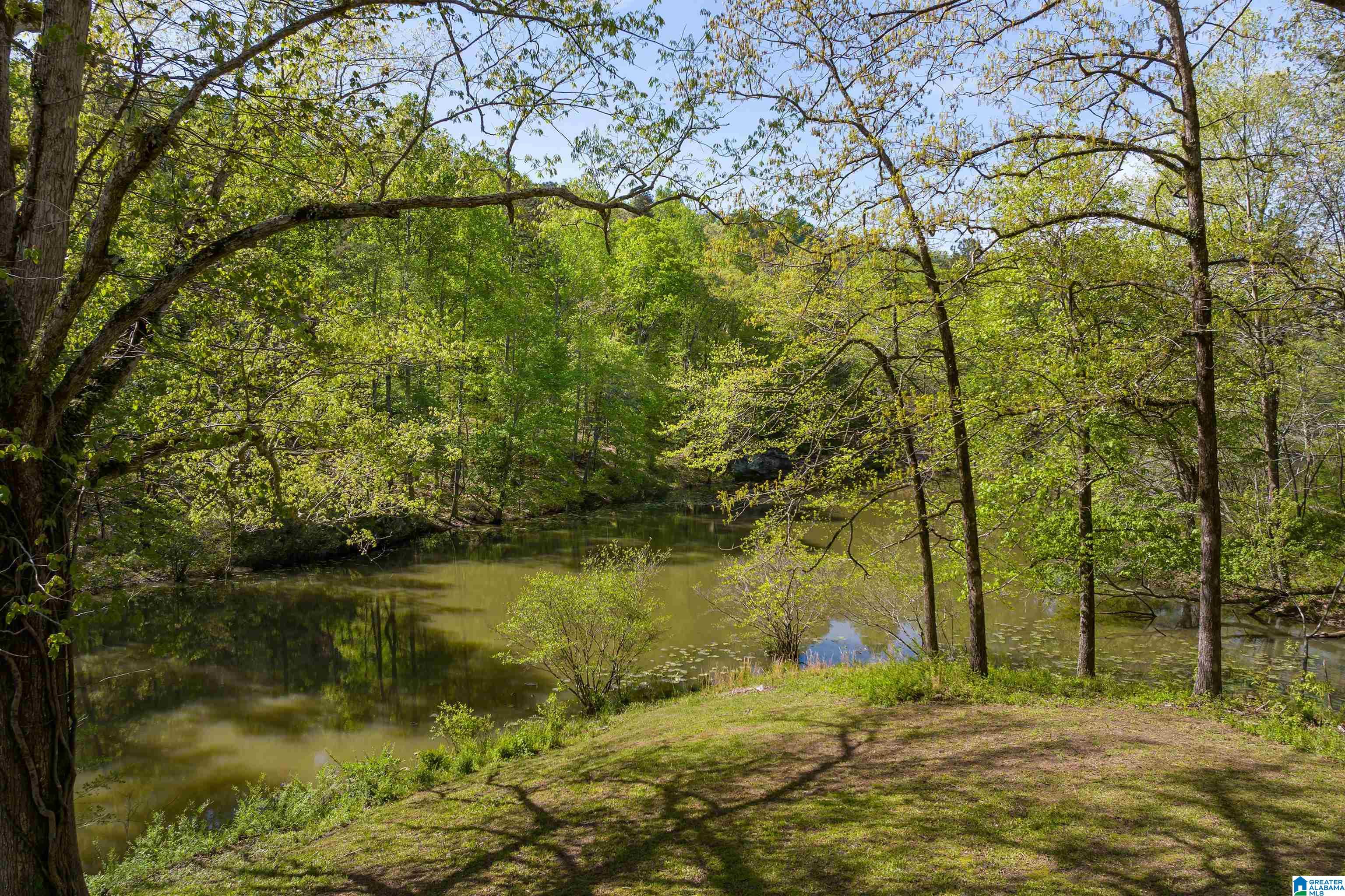 6881 Roper Road Trussville, AL 35173 - Photo 40 of 50
